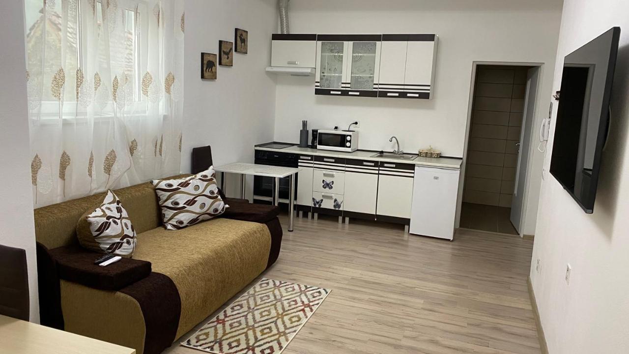 Centralhome Ap1 Сігішоара Екстер'єр фото