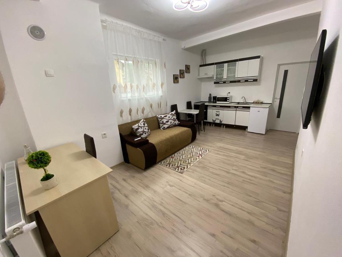 Centralhome Ap1 Сігішоара Екстер'єр фото